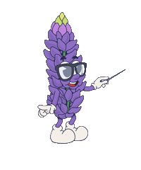 drinkloffee decaf lupine caffeine free lottchen Sticker