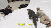 Season 1 Yes GIF by The Roku Channel