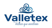Valletex birthday bday aniversario niver Sticker