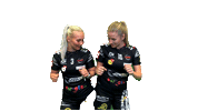 Fbriders Sticker by Floorball Riders