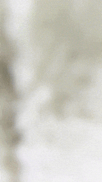 Gamer Plantsvszombies GIF by Youtooz