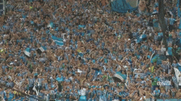 copa do brasil futebol GIF by Grêmio