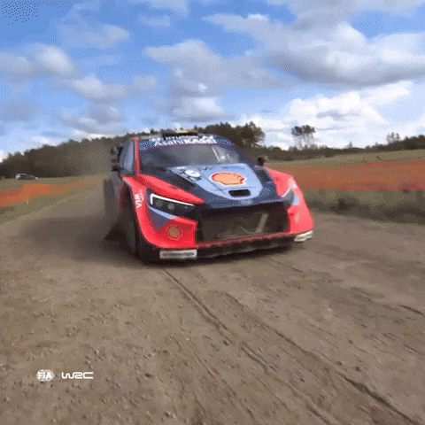Problem Rim GIF by FIA World Rally Championship