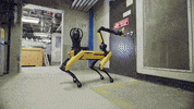 Spot Software Update GIF by BostonDynamics