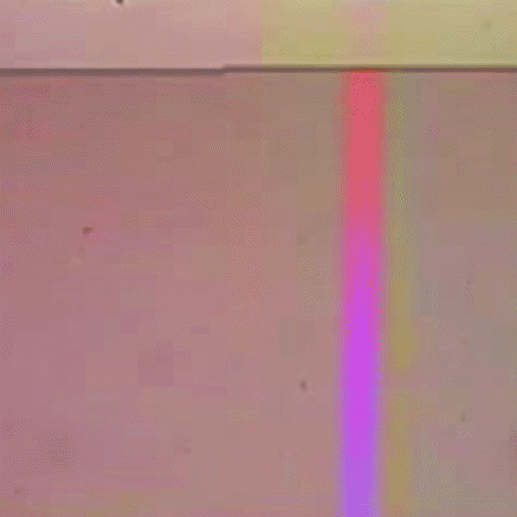 animation animated gif GIF by weinventyou