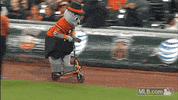 sf 137 GIF by MLB