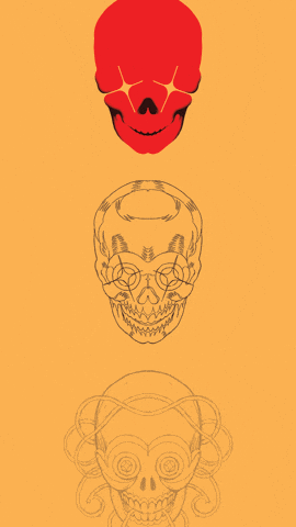 cesarcanseco giphyupload illustration photoshop calavera GIF