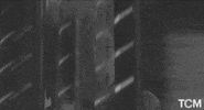 New Wave Vintage GIF by Turner Classic Movies