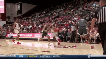gostanford  GIF