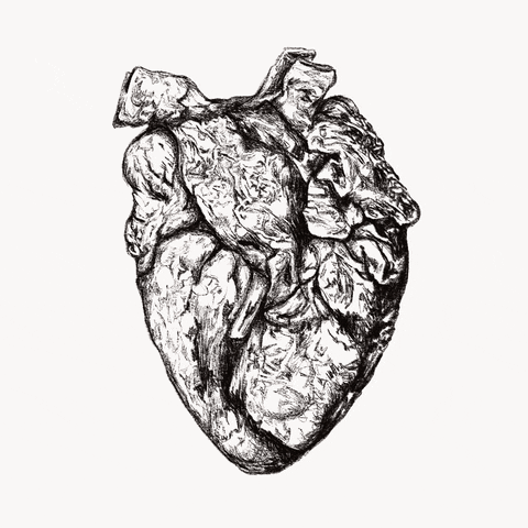 Heart Blood GIF