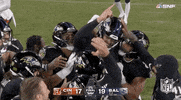 Baltimore Ravens Football GIF by NFL