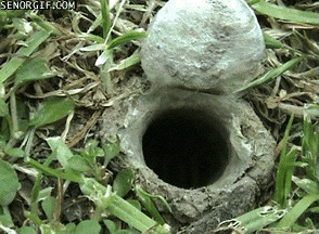 Best Of Week Hole GIF by Cheezburger