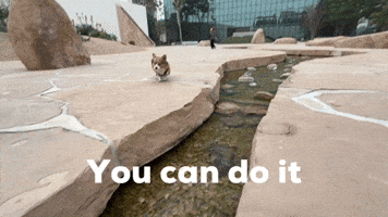 You Can Do It Dog GIF