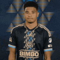 Mls Smh GIF by Philadelphia Union
