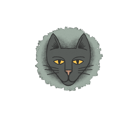 Black Cat Sticker