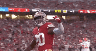 2019 Nfl Football GIF by NFL