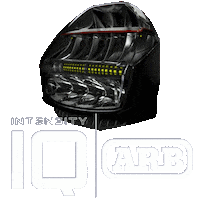 latamarbusa lights iq intensity arb Sticker