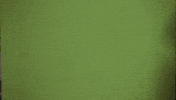 Look At You Double Take GIF by Young Deuces