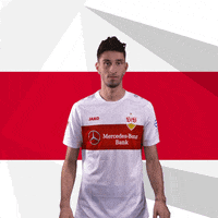 Var Ata GIF by VfB Stuttgart