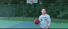 North Carolina Video GIF by Sam Pomerantz