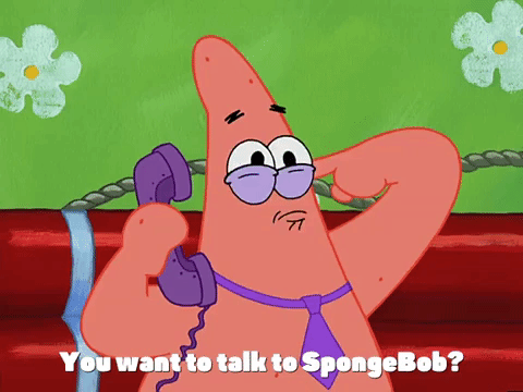 season 3 GIF by SpongeBob SquarePants