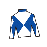 Sport Silk Sticker by Kentucky Derby