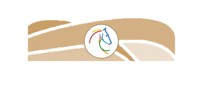 Jump Jumping Sticker by CHIO Aachen