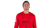 Handball-Bundesliga Attitude Sticker by LIQUI MOLY HBL