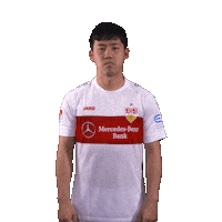 Endo Arme Verschränken Sticker by VfB Stuttgart