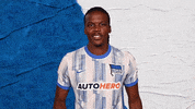 Bundesliga Berlin GIF by Hertha BSC