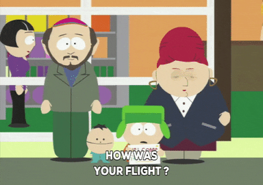 kyle broflovski flight GIF by South Park 