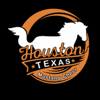 Mustang Houston GIF by Mustang Cheer