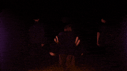 sub pop loma GIF by Sub Pop Records