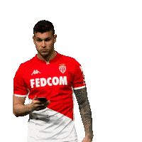 Ligue 1 Football Sticker by AS Monaco