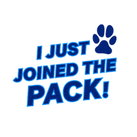 Bethlehem Pa Dance Sticker by Moravian University