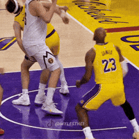 Lebron James Nba GIF