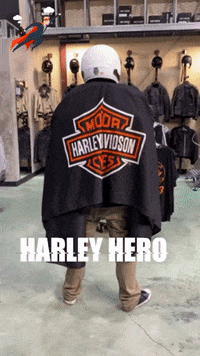Quaidhd batman hero superhero superman GIF