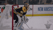 Happy Ice Hockey GIF by NHL