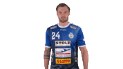 Sport Handball Sticker by LIQUI MOLY HBL