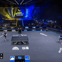 Cant Believe It Ping Pong GIF by STIGA Sports