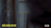 twd GIF by The Walking Dead