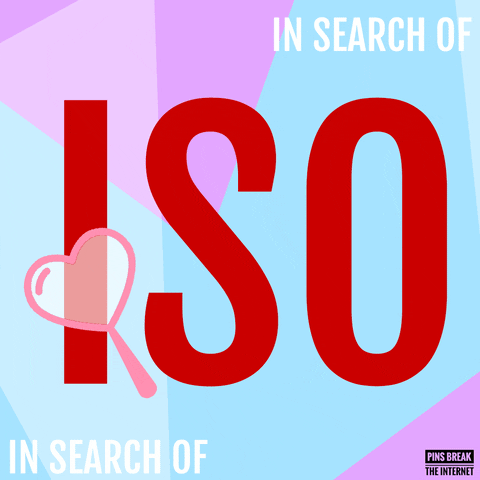 In Search Of Iso GIF by Pins Break the Internet