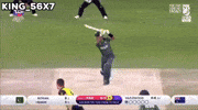 Babar Azam GIF
