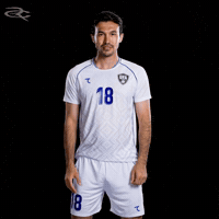 Fifa World Cup Afc GIF by Respective