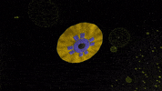 Milky Way Animation GIF by European Space Agency - ESA