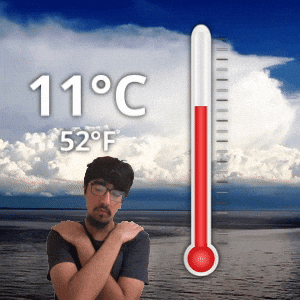 11 °C