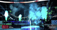 Ice Hockey Sport GIF by NHL