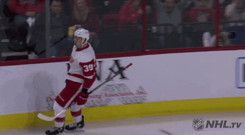 happy ice hockey GIF by NHL