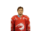 Ice Hockey Sticker Sticker by HC Oceláři Třinec