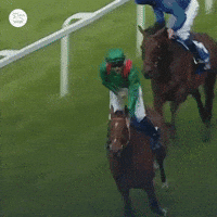 Sport Yes GIF by World Horse Racing